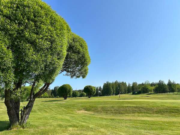 Mikkelin Golf
