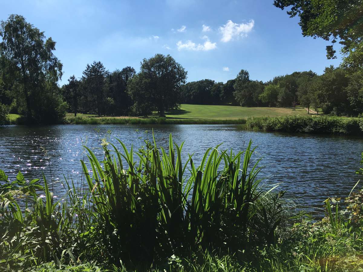 Mittelholsteinischer Golf-Club Aukrug e.V.