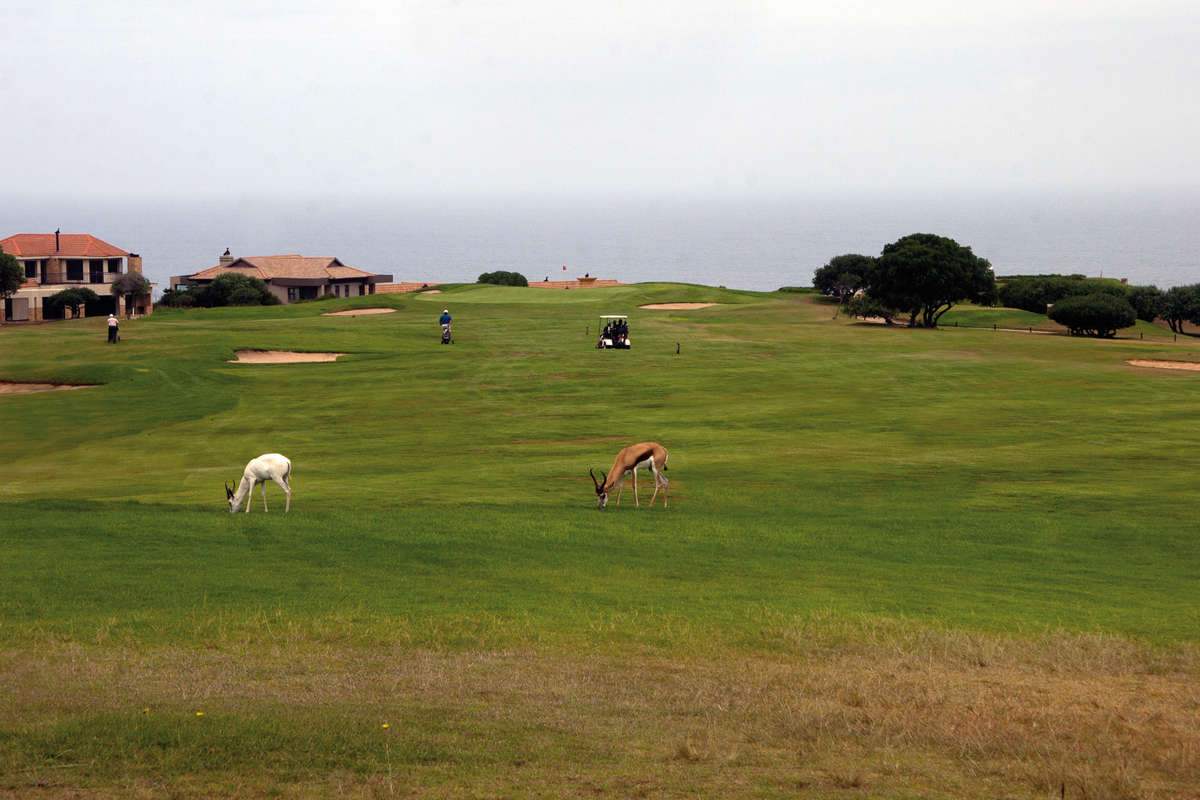 Mossel Bay Golf Club