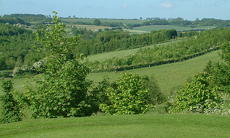 Naunton Downs Golf Club