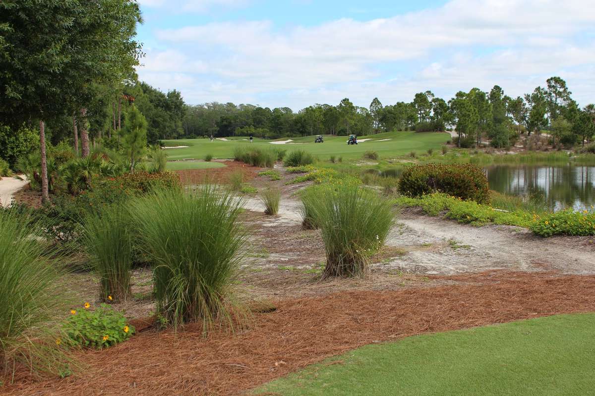 Old Corkscrew Golf Club