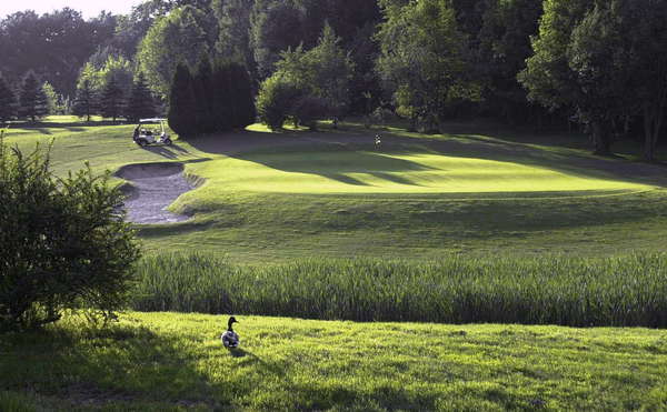 Overijse Golf Club