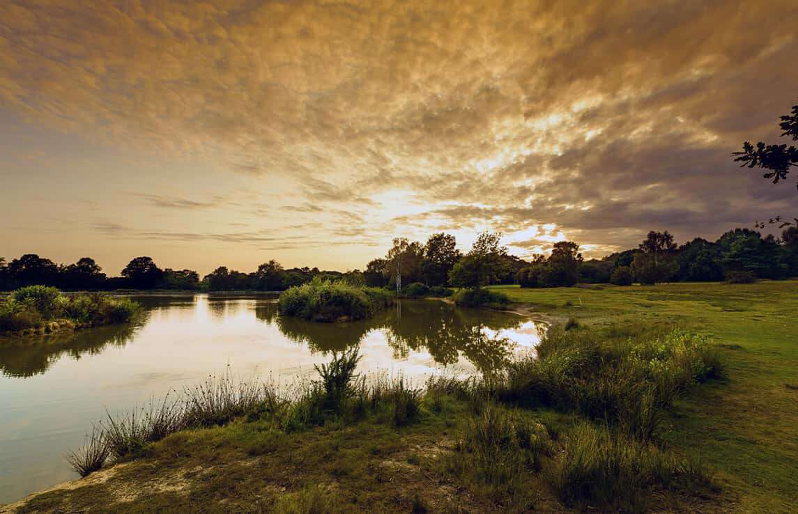 Piltdown Golf Club