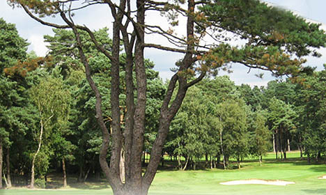 Pine Ridge Golf Club