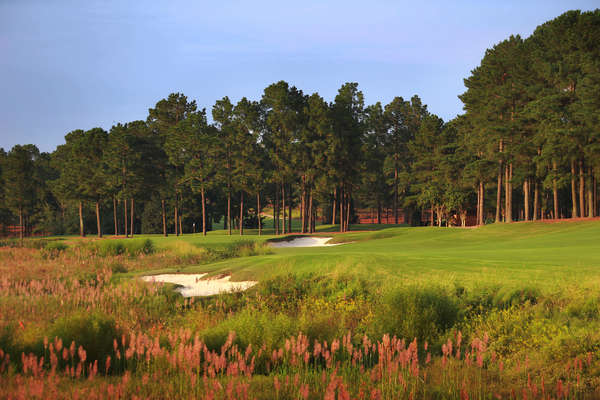 Pinehurst Resort #8