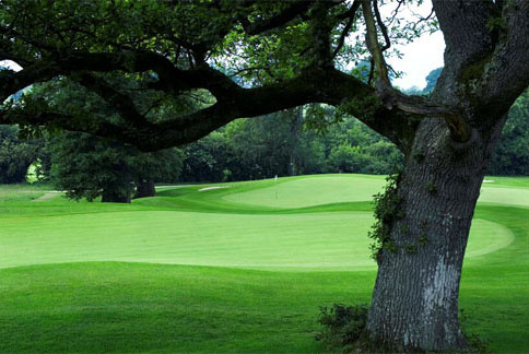 Rathsallagh Golf Club & Country Club