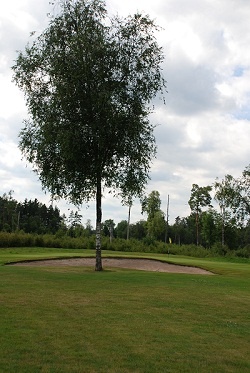 Reftele Golfklubb