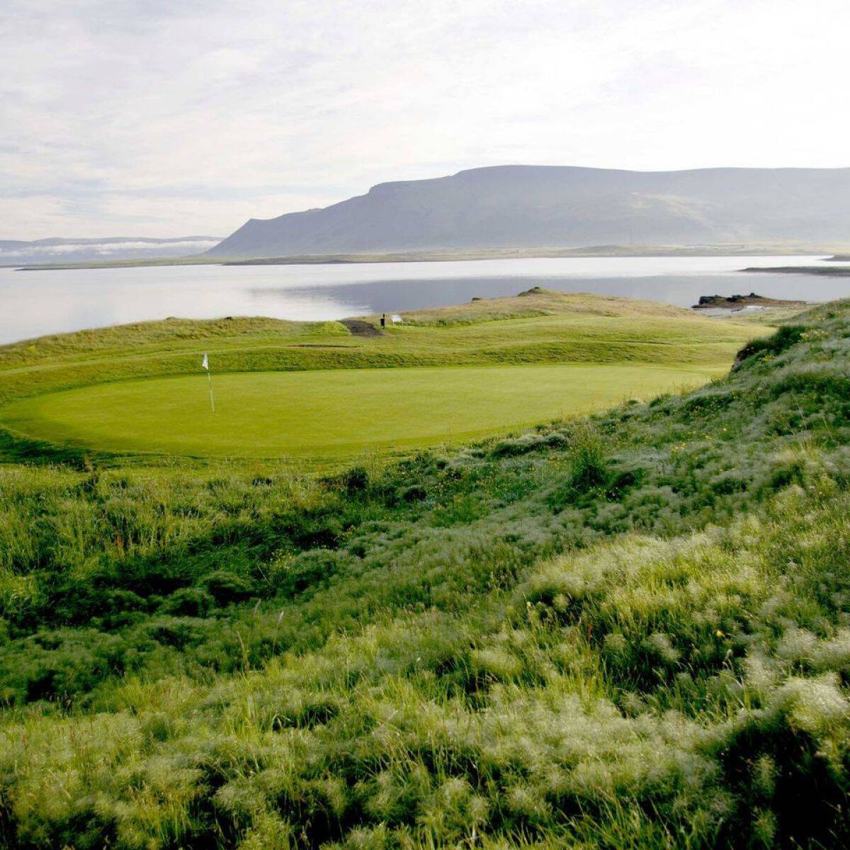 Reykjavík Golf Club Korpa Golf Course, Reykjavík, Island Albrecht