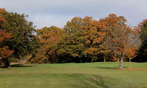 Royal Epping Forest Golf Club