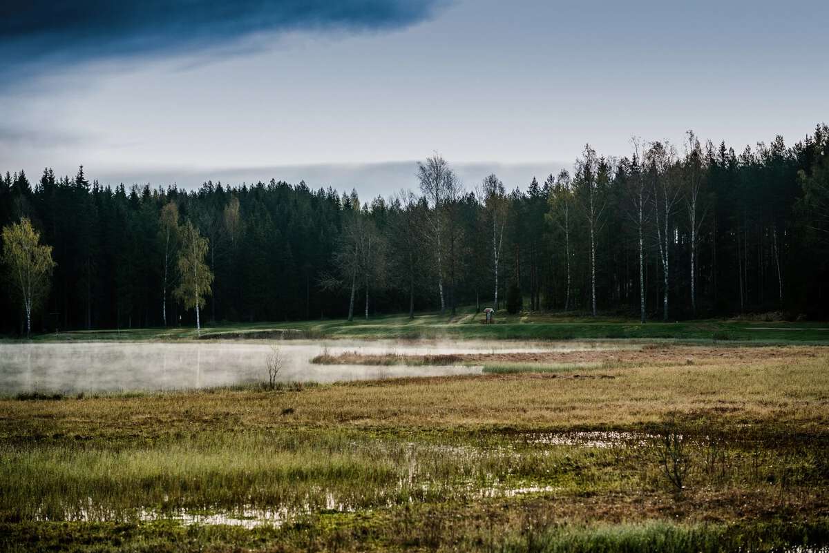 Ruukkigolf