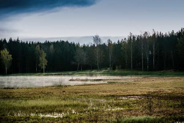 Ruukkigolf