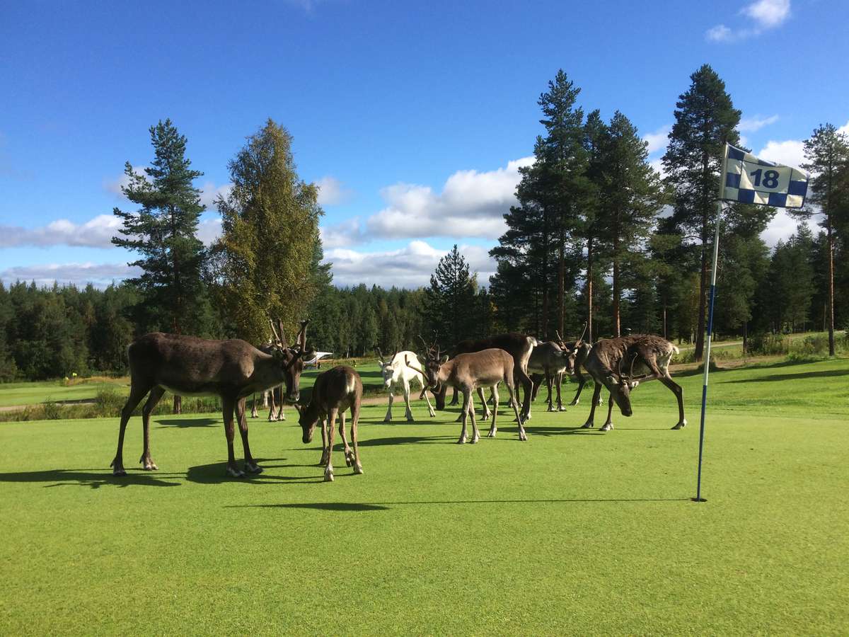 Santa Claus Golf - the golf course of the Official Hometown of Santa Claus