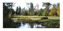 Saxnäs Golfklubb