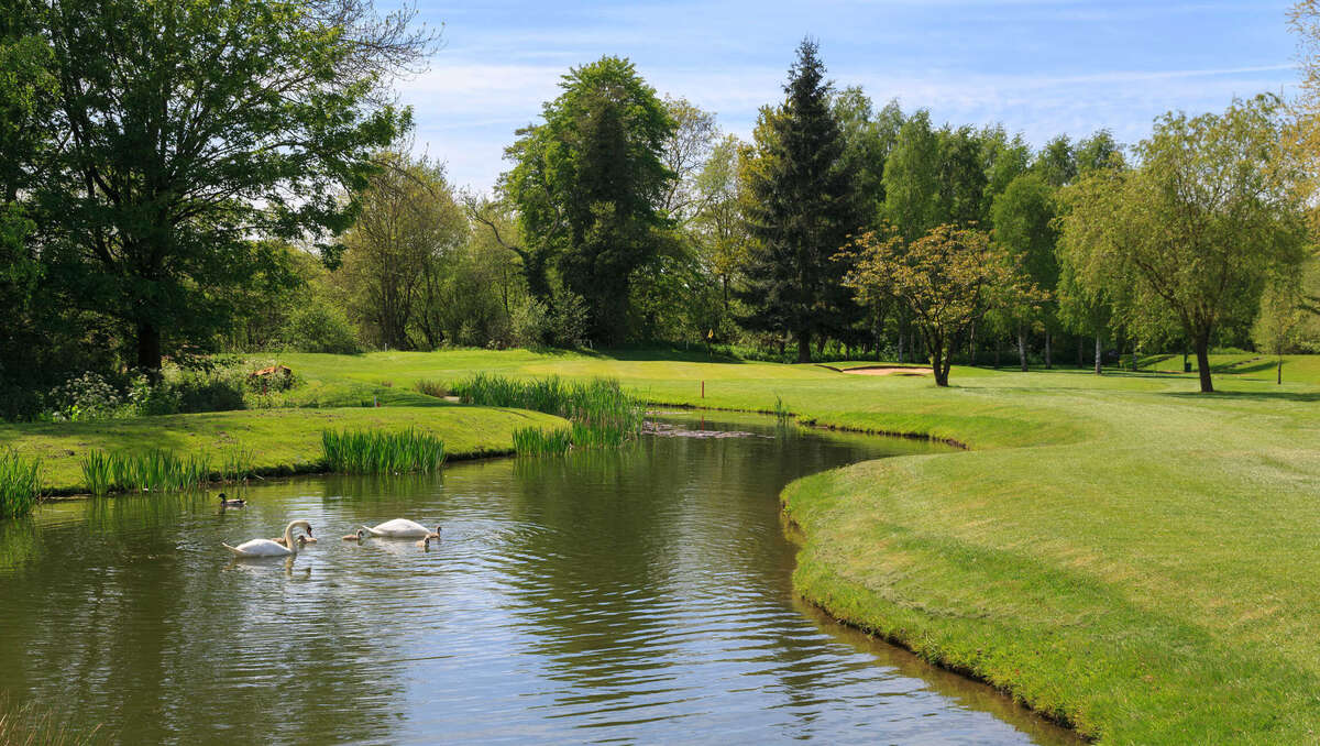 Shirley Golf Club