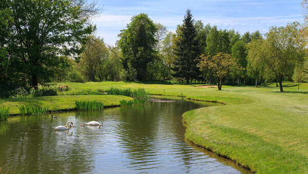 Shirley Golf Club