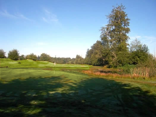 Tall Timber Golf Course