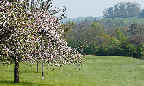 Teign Valley Golf Club