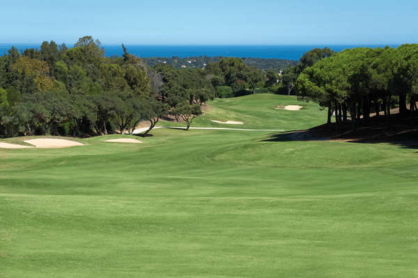 The Alto Club