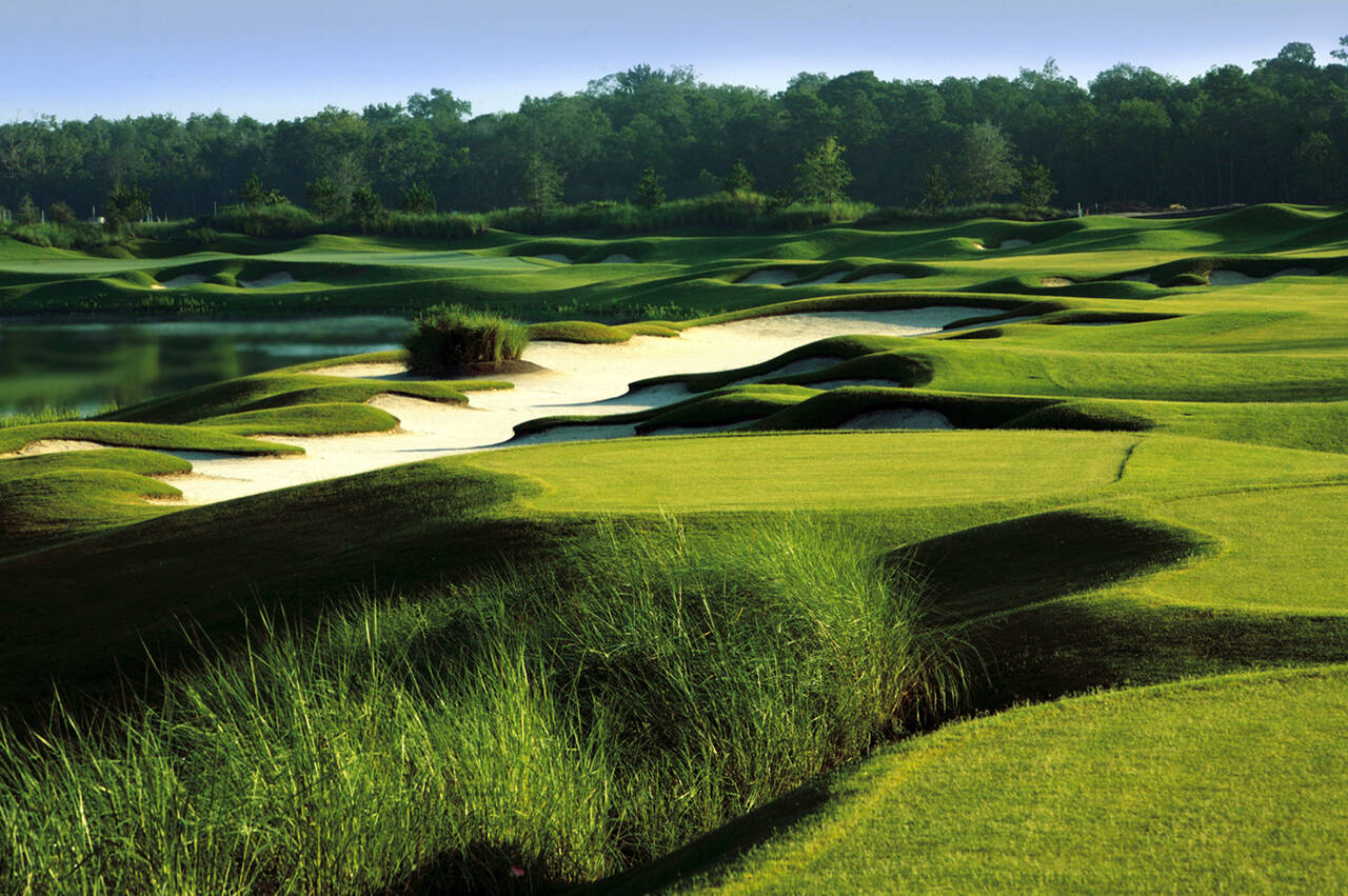 The Conservatory at Hammock Beach, Palm Coast, FL Albrecht Golf Führer