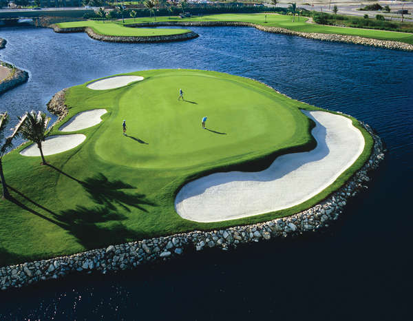 The Ritz-Carlton Golf Club (Blue Tip)