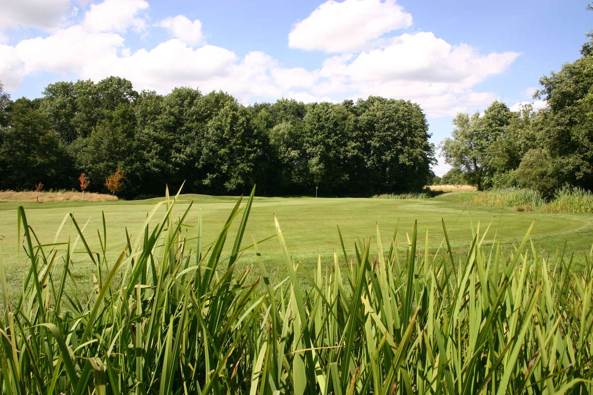 Theale Golf Club