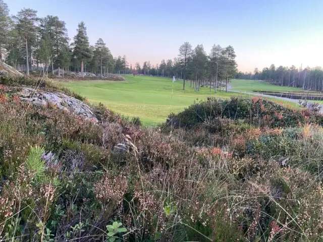Umeå Norrmjöle Golfklubb