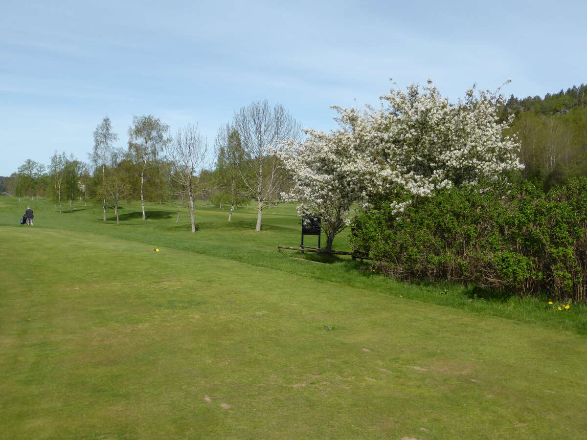 Viksbergs Golfklubb (Capital Golf)