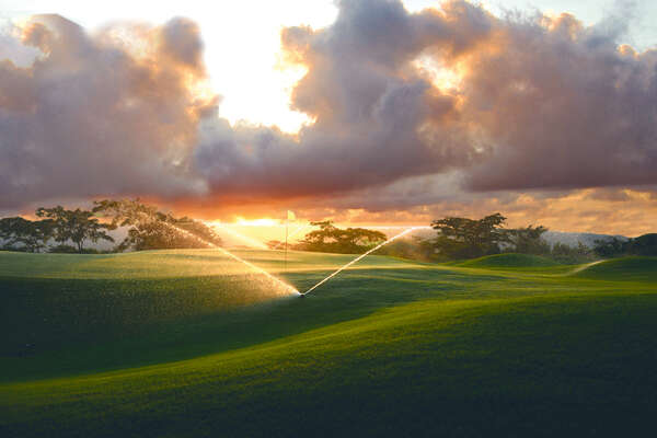 Vipingo Ridge