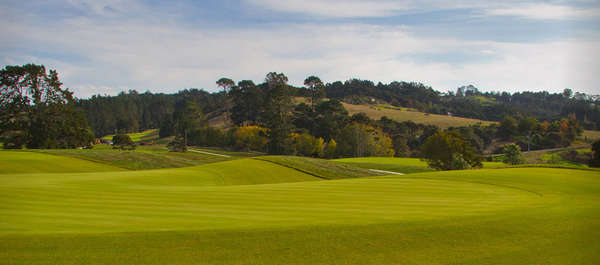 Wainui Golf Club