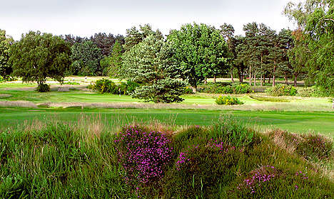 Walton Heath Artisans Golf Club