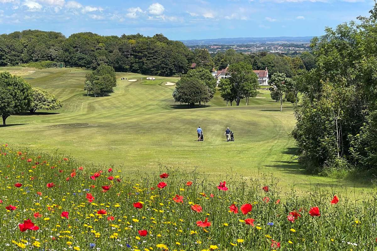 Willingdon Golf Club