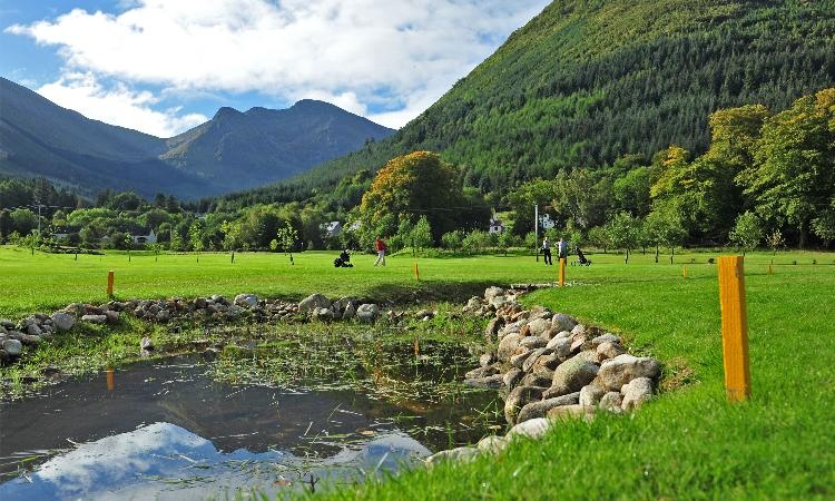 Woodlands Glencoe - The Dragon’s Tooth