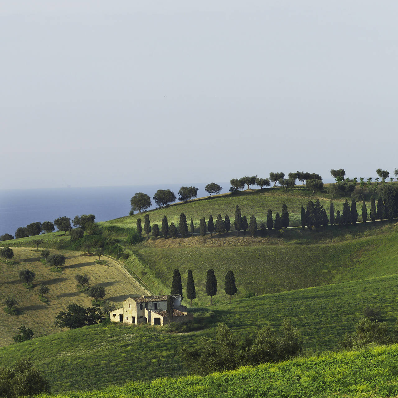 Golfurlaub in den Abruzzen (Landschaft in den Abruzzen mit Blick auf das Meer)
