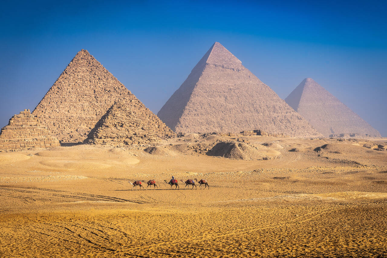 Vacanze golf in Egitto (The Great pyramid with camels in Giza)