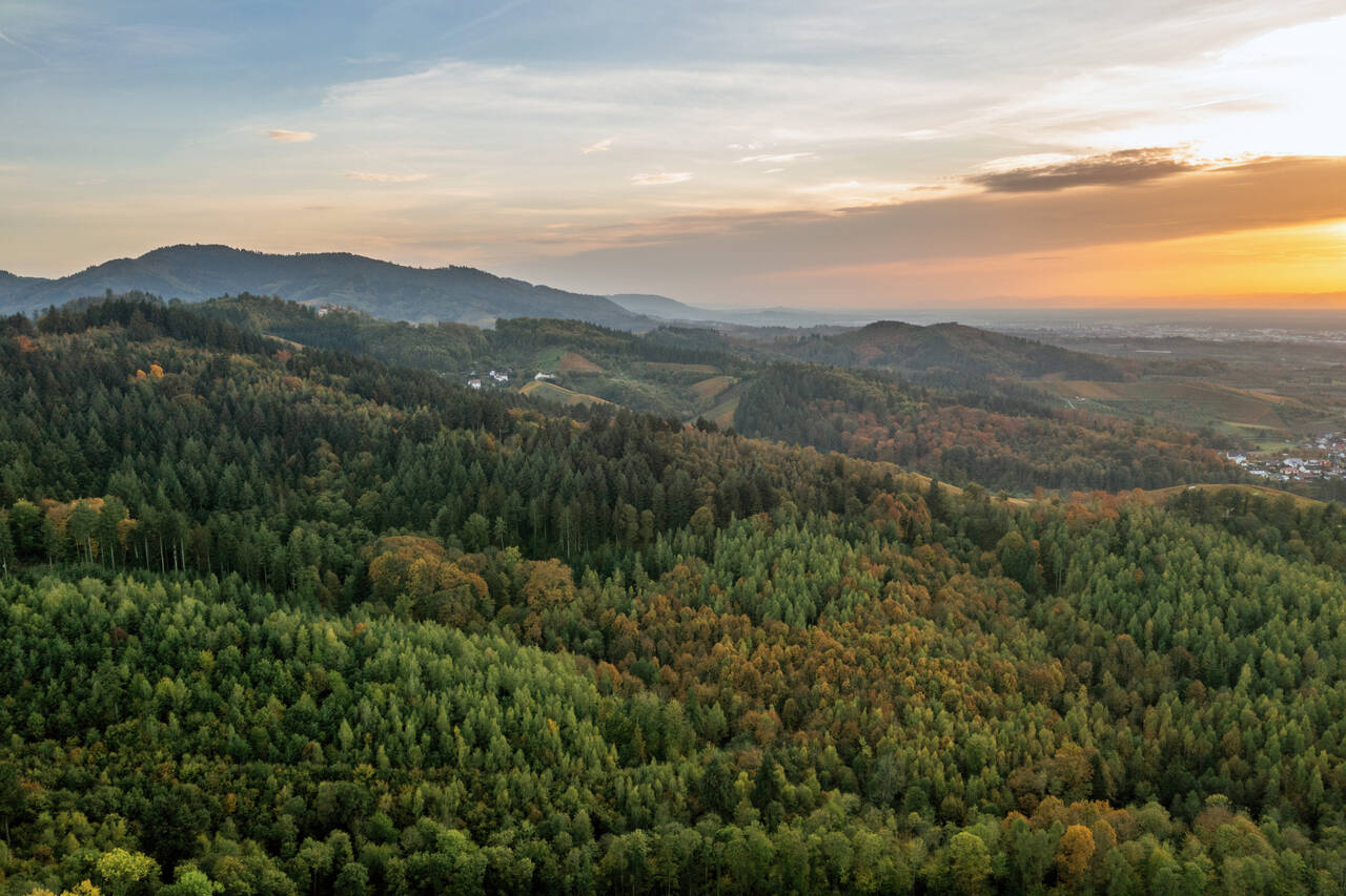 Golf Holidays in Baden-Württemberg (Aerial view of Black forest)