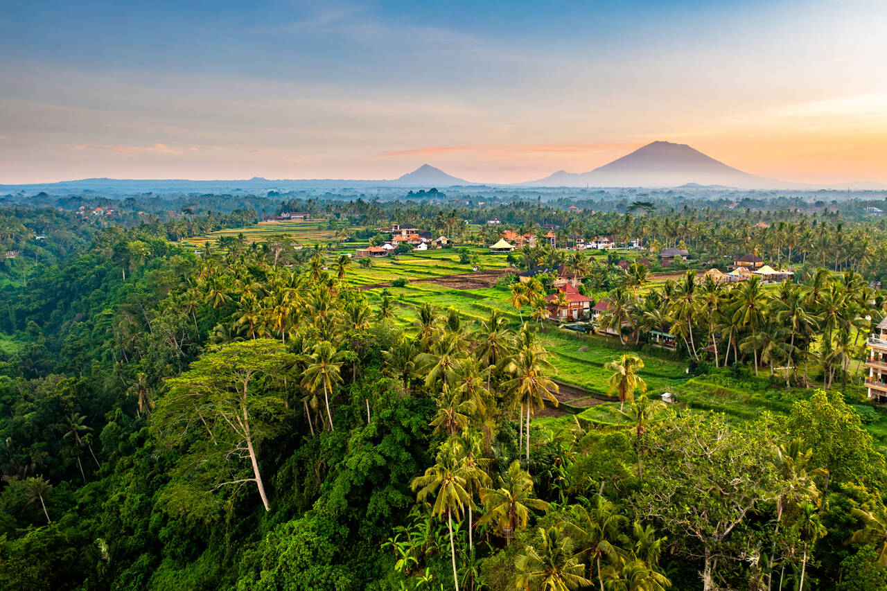 Golf Holidays in Bali (Landscape near Ubud in Bali)