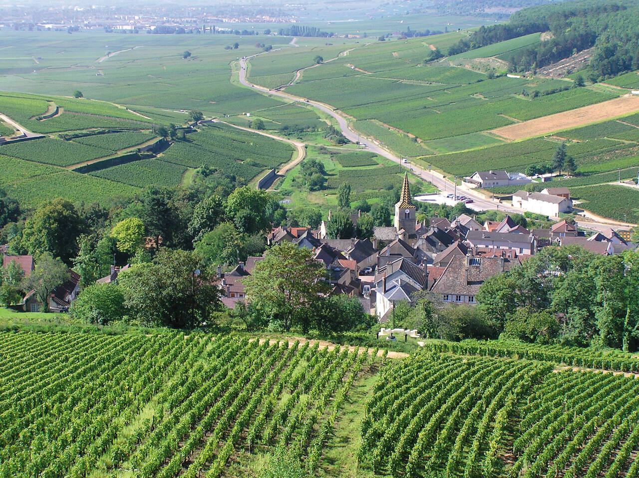 Golfurlaub in Burgund (Die berühmten Weinberge im Burgund)