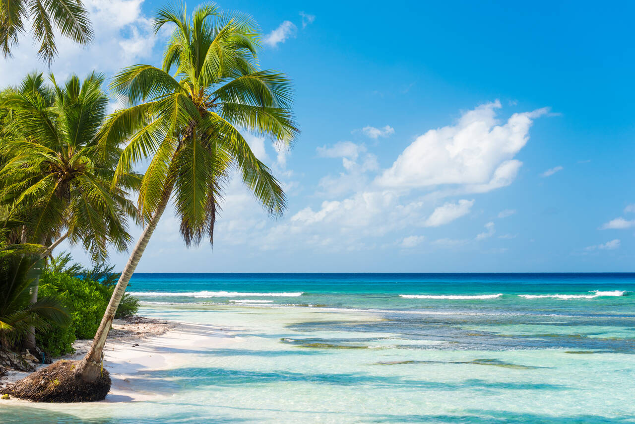 Golf Holidays en República Dominicana (Wonderful beach)