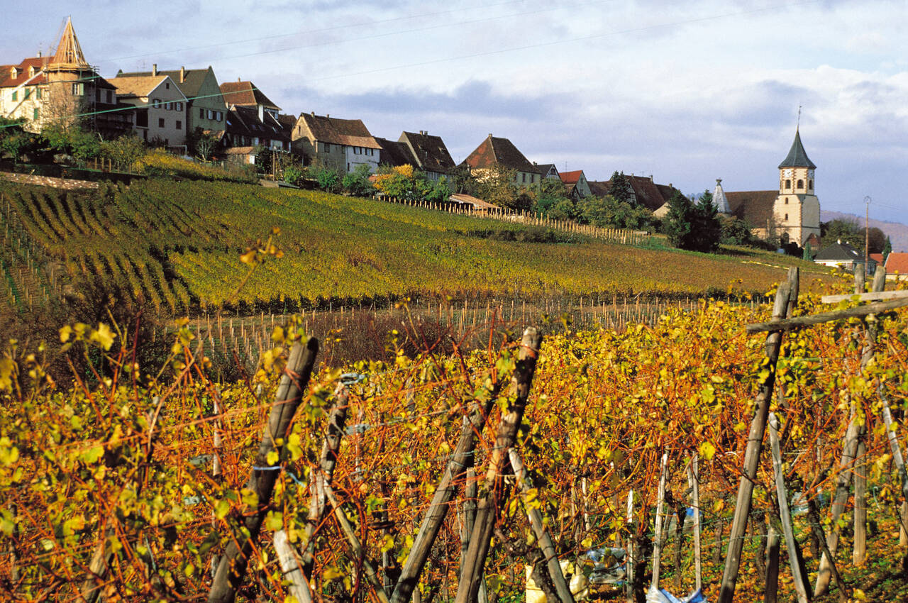 Golfurlaub im Elsass