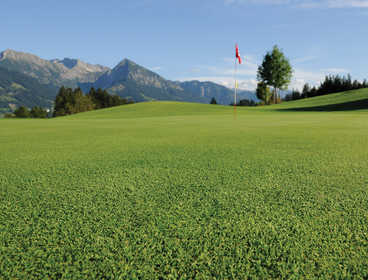 Golf & Günstig