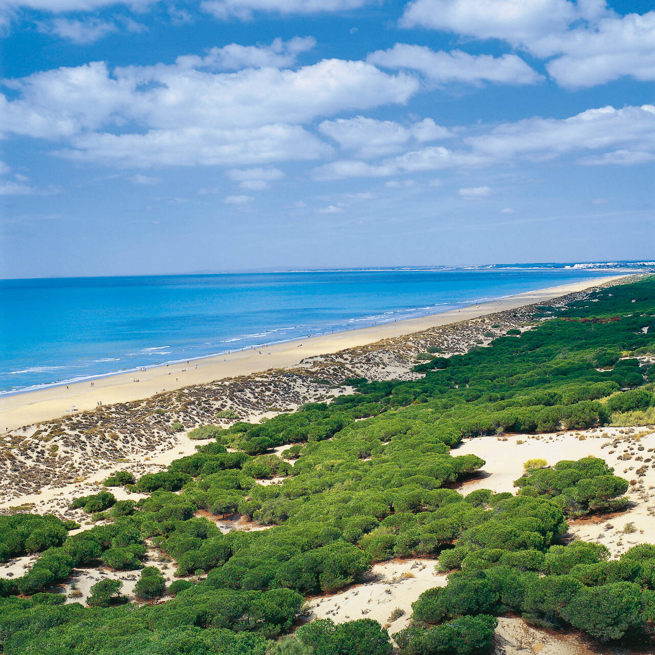 Vacanze golf in Huelva (Punta Umbría, Playa de los Enebrales)