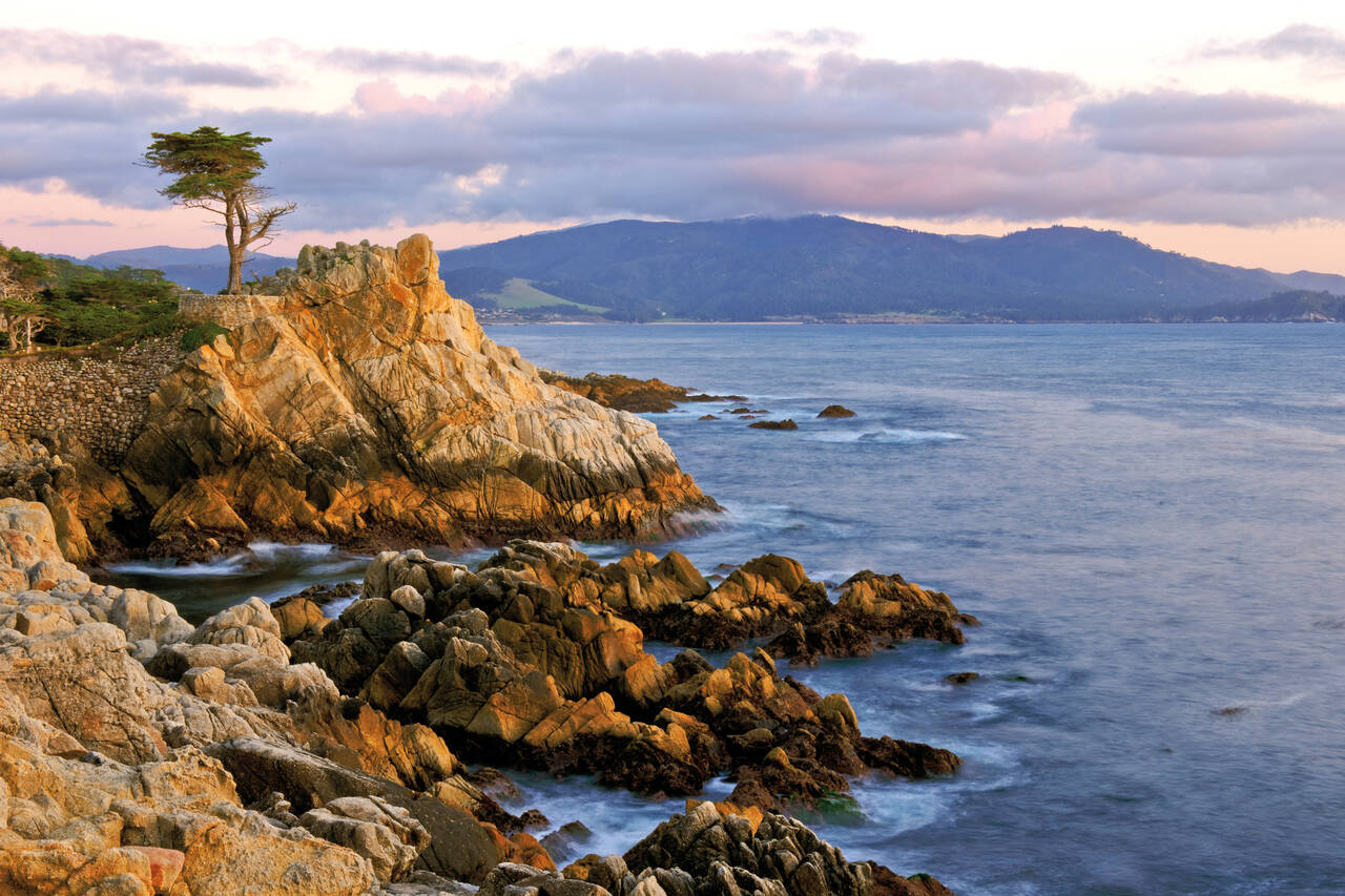 Golfurlaub in Kalifornien (The Lone Cypress)