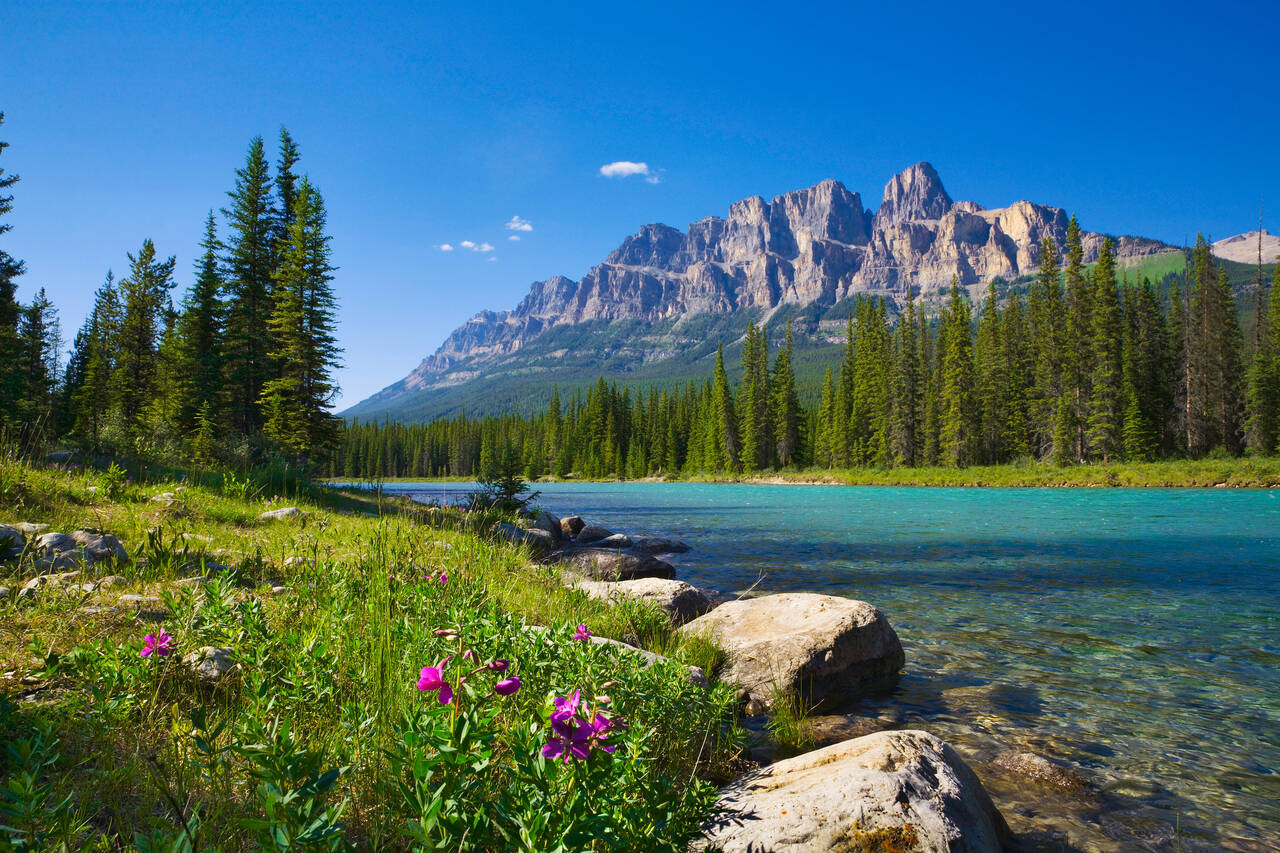 Golf Holidays en Canadá (Banff National Park, Bow River)