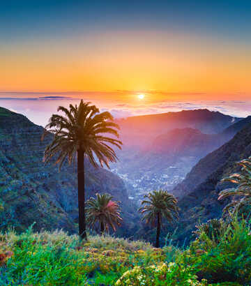 Canary Islands