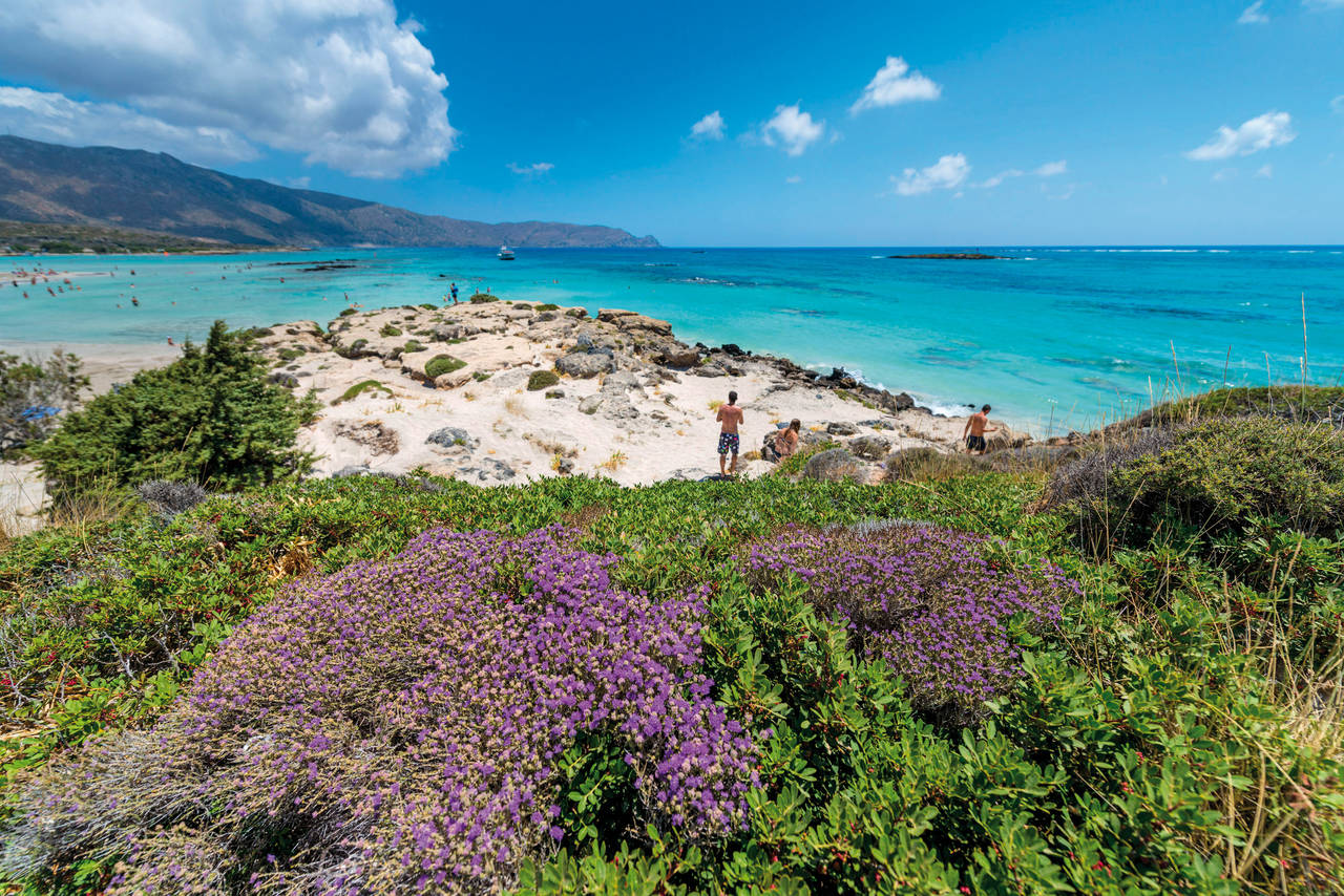 Golf Holidays en Creta (Elafonissi)