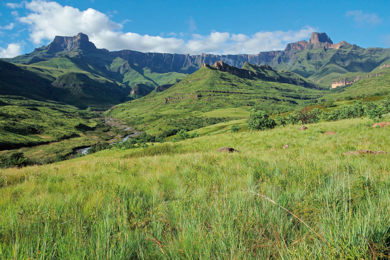 Golf Holidays in KwaZulu-Natal (Royal Natal National Park)