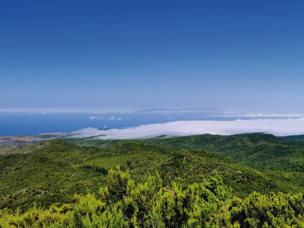 Golf Holidays in La Gomera (View from Alto de Garajonay)