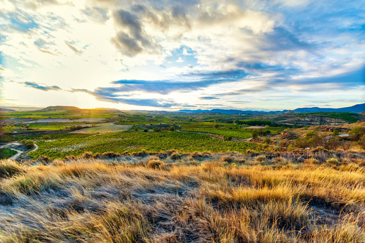 Golf Holidays en Navarra, Aragón, La Rioja (Rioja vineyards at sunset)