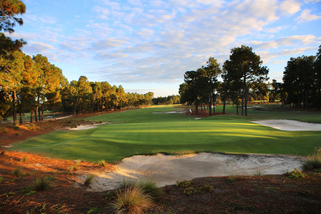 Golf Holidays en North Carolina (Pinehurst Resort, #2 hole 16)