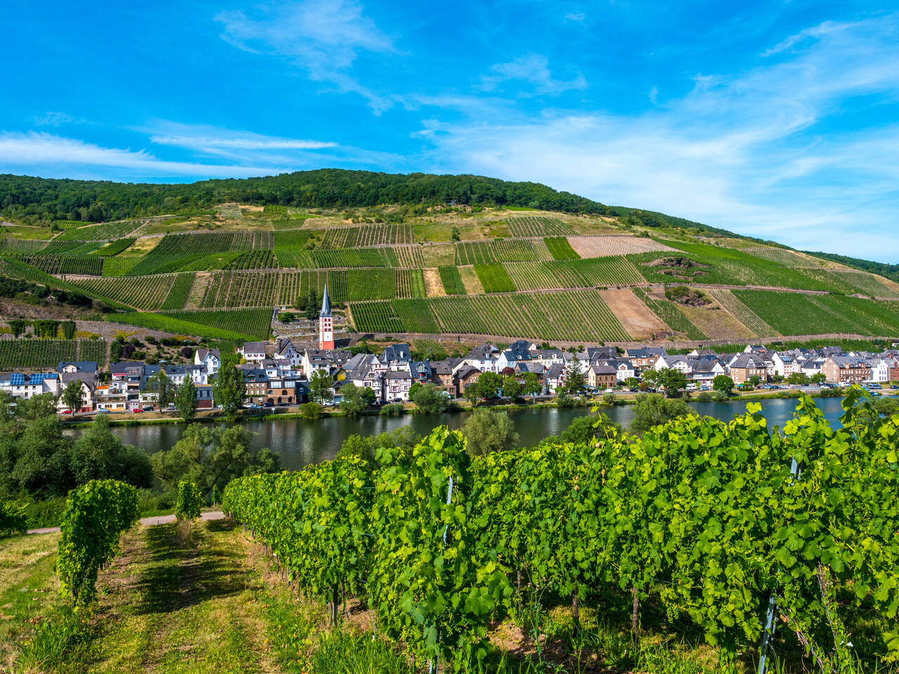Golfurlaub in Rheinland Pfalz (Blick auf Bremm an der Mosel)